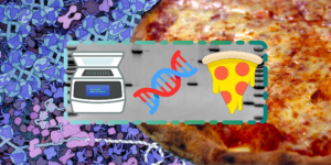 PCR + Pizza