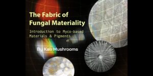 The Fabric of Fungal Materiality : Intro to Myco- Materials and Pigments