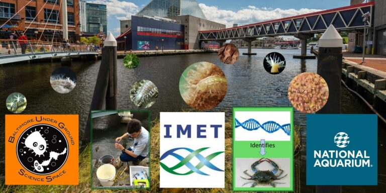 Sequencing the Inner Harbor: A BUGGS/IMET community science collaboration