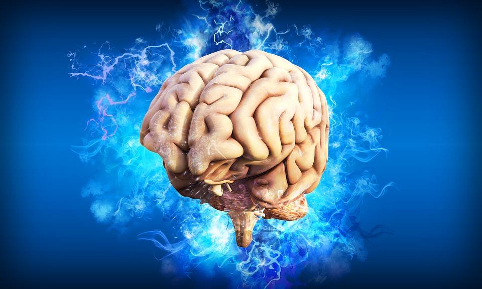 Using 3D “Mini-Brains” to Unlock the Origins of Mental Disorders