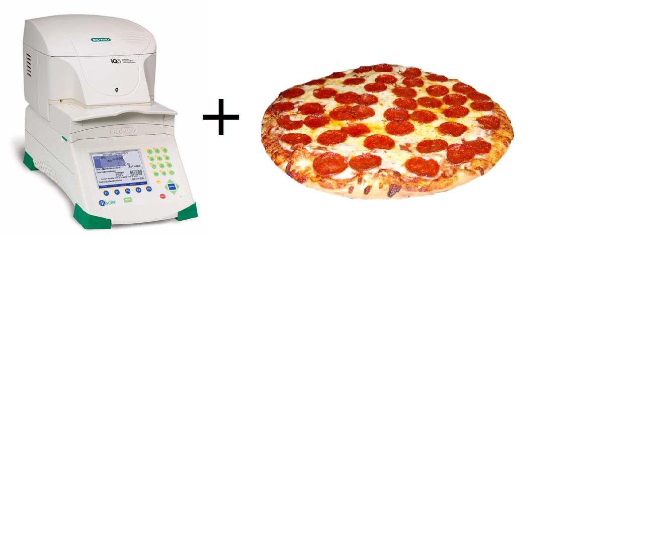 PCR + Pizza