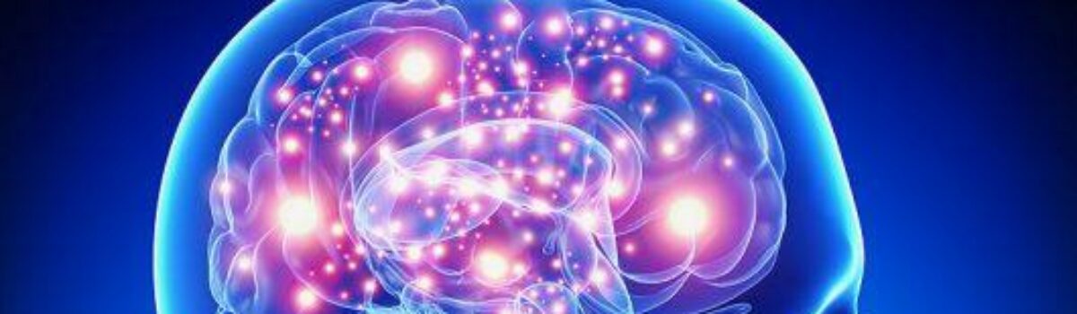 The Science of Epilepsy: What is it and how can we understand it?