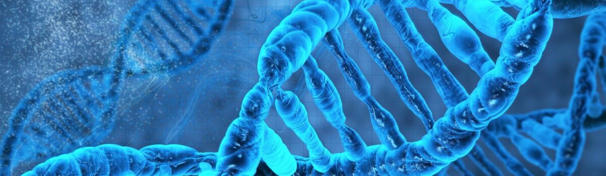 Biotech for Coders: A Crash Course in Programming DNA