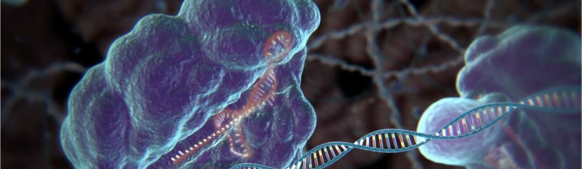 Editing Genomes with CRISPR
