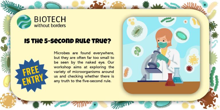 Is the 5-second rule true?