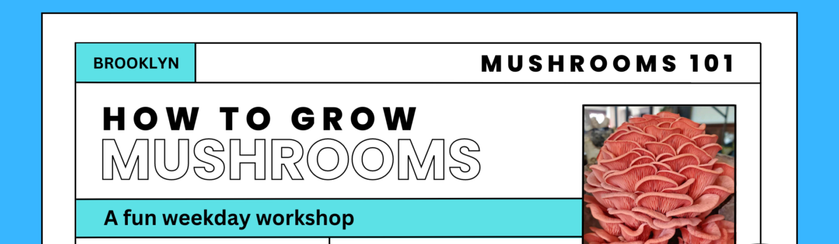 How to Grow Mushrooms 101 Workshop