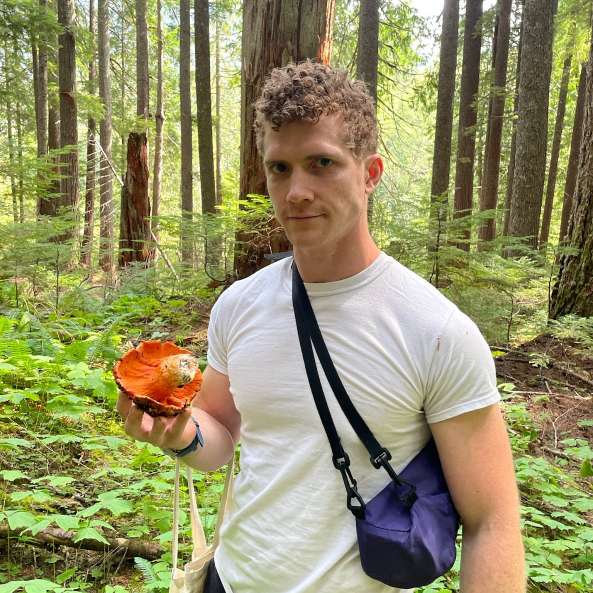 person in white shirt holding a mushroom